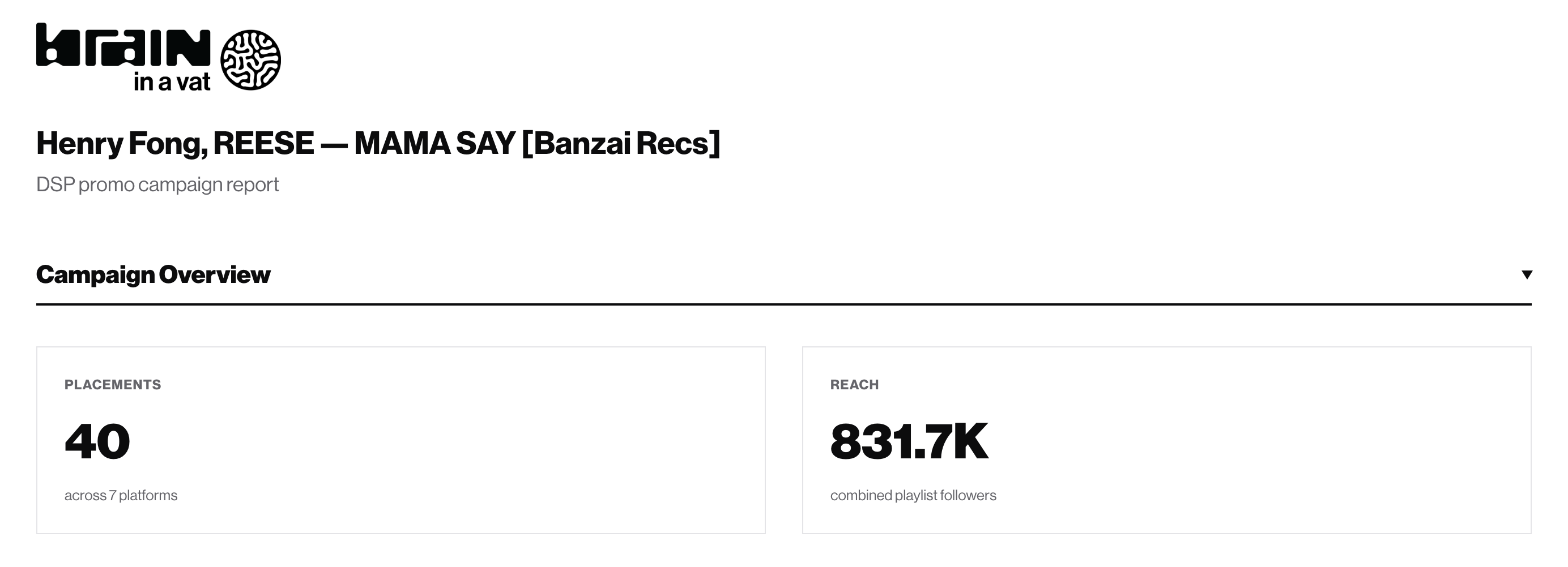 Music promotion campaign dashboard with placement and audience metrics